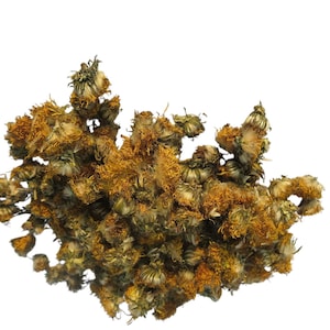 Puede incluir: Primer plano de flores de caléndula secas, con un grupo de pequeñas cabezas de flores secas en tonos amarillos y marrones. Las flores están densamente empaquetadas, con algunos tallos verdes visibles.