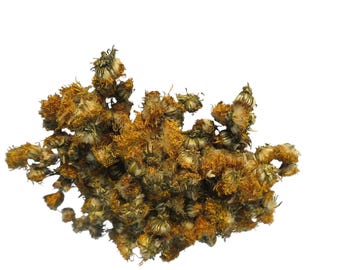 0,5-4,4 libbre di fiori di tarassaco biologici essiccati Taraxacum Officinale Materia prima Senza additivi, pesticidi, sostanze chimiche per il tè pomeridiano