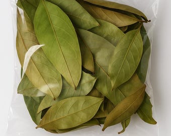 Dried Soursop Leaves Hojas de Guanábana Graviola Dried Herbal Tea| Premium Loose Leaf Herbal Blend Organic Premium