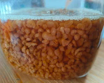 2tbs Live Water Kefir Grains | Organic Active Starter Culture | DIY Probiotic Drink | Easy Home Brew Kit