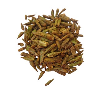 250g/500g Balm of Gilead Buds Fresh-frozen Red Star Poplar Rich in Resin Resinous Aroma infused oil ingredients wildcrafted additive-free