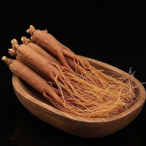 Könnte beinhalten: Eine Holzschale gefüllt mit mehreren braunen Ginsengwurzeln. Die Wurzeln haben eine hellbraune Farbe und eine faserige Textur, mit dünnen, hellfarbigen Wurzeln, die sich vom Hauptkörper erstrecken. Die Schale besteht aus hellem Holz und steht vor einem schwarzen Hintergrund.
