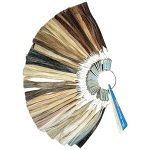 May include: A fan of hair swatches in various shades of brown, blonde, and gray. The swatches are attached to a metal ring, with small tags and a blue label. The hair samples are arranged in a semi-circle, showcasing a range of colors.