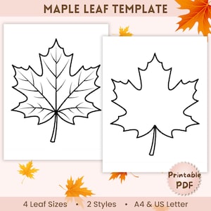Könnte beinhalten: Eine druckbare Ahornblatt-Vorlage mit zwei verschiedenen schwarz-weißen Strichzeichnungen auf weißem Papier. Der Text lautet MAPLE LEAF TEMPLATE, Printable PDF, 4 Leaf Sizes, 2 Styles und A4 & US Letter. Das Design umfasst ein detailliertes Blatt mit Adern und ein einfaches Umrissblatt.