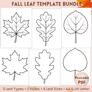 Peut inclure: Un ensemble de modèles de feuilles d'automne avec six contours de feuilles en noir et blanc sur fond blanc. Le texte indique FALL LEAF TEMPLATE BUNDLE, 3 Leaf Types, 2 Styles, 4 Leaf Sizes, A4 & US Letter, et Printable PDF dans le coin.