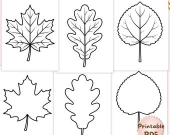 Fall Leaf Template Bundle, Printable Leaf Templates PDF, Maple Oak Aspen Leaf Outline, Autumn Leaf Coloring Pages, Fall Craft for Kids