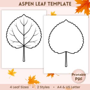 May include: An Aspen Leaf Template featuring two black and white line art illustrations of aspen leaves on white backgrounds. One leaf shows detailed internal veins, while the other is a simple outline. Text includes Aspen Leaf Template and Printable PDF.