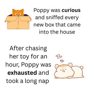 Puede incluir: Ilustración de un gato naranja curioso en una caja de cartón. El texto dice que Poppy era curiosa. Debajo, un gato durmiendo con el texto: Poppy estaba exhausta después de jugar. Estilo de dibujos animados, fondo blanco.