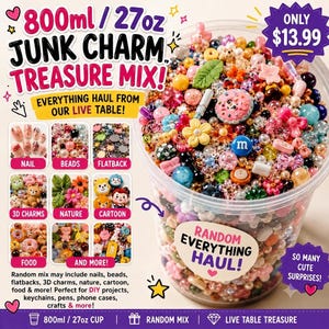 800ml Random Junk Charm Treasure Mix, Case Charms, DIY Craft Supplies