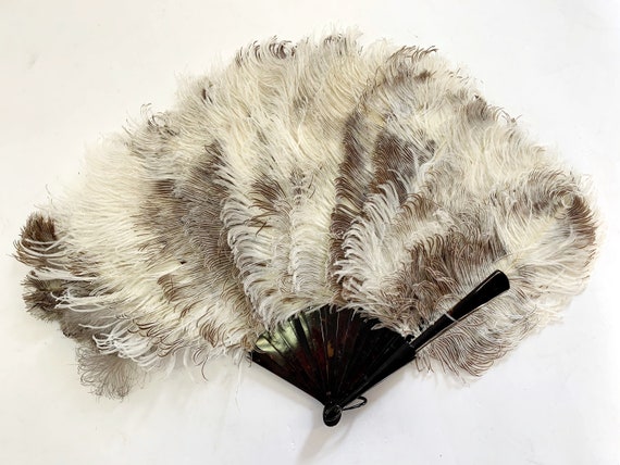 1900s Antique Ostrich Feather Fan