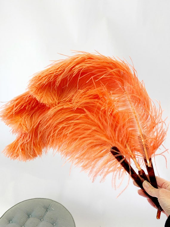 1930s Coral Pink Large Ostrich Feather Fan - image 3