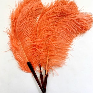1930s Coral Pink Large Ostrich Feather Fan