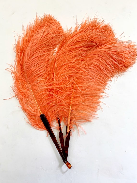 1930s Coral Pink Large Ostrich Feather Fan - image 1