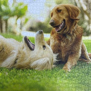 Custom Photo Jigsaw Puzzle: Personalized UV-Printed Keepsake (42-1000 Pieces