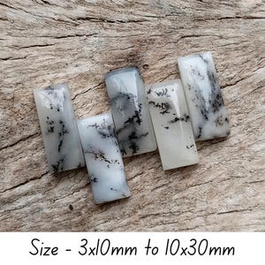 Peut inclure: Cinq pierres précieuses rectangulaires polies, à base blanche et motifs dendritiques noirs. Les dimensions varient de 3mm x 10mm à 10mm x 30mm. Le texte "Size - 3x10mm to 10x30mm" est visible. Présentées sur une surface en bois.