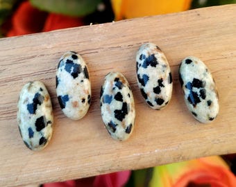 Natural Dalmatian Jasper Cabochon, Oval Flat Back Gemstones for Jewelry Making, 5x10mm-10x20mm