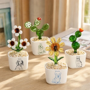 May include: Four small white square ceramic planters containing glass plants. Each planter features a black line drawing of a pet and a name: Coco with a dog, Ken with a dog, Wurth with a corgi, and Thode with a cat. The glass plants include flowers and cacti.