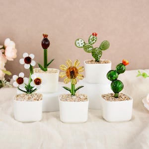 May include: A collection of glass flower and cactus sculptures in small white square pots. The flowers include daisies, a sunflower, and a bud. The cacti are green with red accents. The pots are filled with small pebbles.