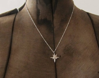 May include: A silver-colored necklace with a starburst pendant. The necklace features a delicate chain with small beaded accents. The starburst pendant has multiple pointed rays, creating a celestial design. The necklace is displayed on a brown mannequin.