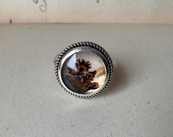 May include: A silver ring featuring a round, cabochon-cut dendritic agate stone. The stone displays a white background with dark brown, fern-like inclusions. The setting is framed by a twisted rope-style metal border, creating a textured edge.