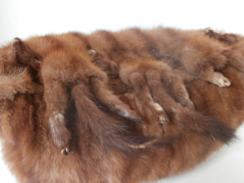 Outstanding Mink Muff Hand Warmer Circa 1920s Etsy