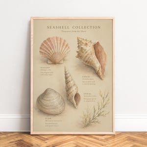 Könnte beinhalten: Ein gerahmter Kunstdruck mit dem Titel SEASHELL COLLECTION Treasures from the Shore, der Aquarellillustrationen einer Jakobsmuschel, einer Flügelschnecke, einer Spiralschnecke und einer Muschel mit beschreibenden Textetiketten auf beigem Grund zeigt.