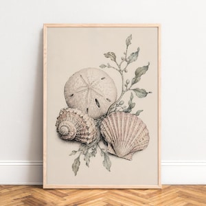 Shell Poster, Vintage Nature Study, Beige Blush, Living Room, Bath Wall Art, Sea Lover Gift A1/A2/A3/A4