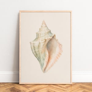 Seashell Poster, Watercolor Wall Art, Pastel Beige, Living Room, Bath, Gift for Beach Lovers A3/A4