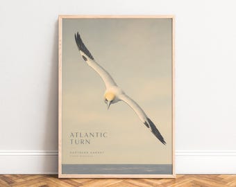 Atlantic Gannet Poster, Vintage Bird Wall Art, Beige Blue, Living Room Office, Gift for Bird Lovers A1 A2 A3 A4
