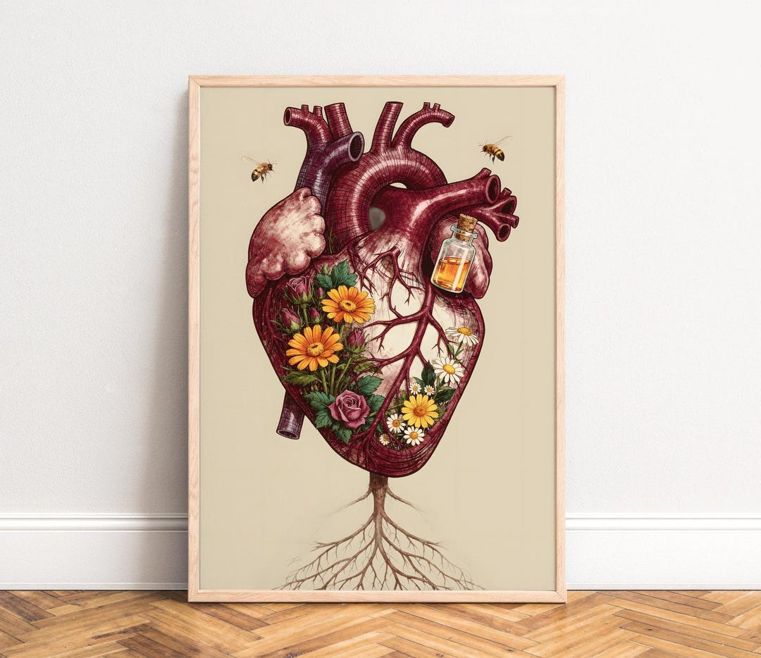 Anatomical Heart Poster, Botanical Floral Anatomy Illustration, Vintage ...