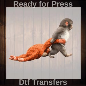 May include: A digital graphic featuring two cartoon monkeys. One is orange and appears to be hanging, while the other is gray and walking. The text "Ready for Press" is at the top, and "Dtf Transfers" is at the bottom.