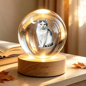 Könnte beinhalten: Eine klare Glaskugellampe mit einem eingravierten Bild einer Katze, einer Mondsichel und Sternen. Die Kugel ruht auf einem zylindrischen Holzsockel, der mit dem Namen Coco und den Jahren 2018-2026 graviert und von innen warm beleuchtet ist.