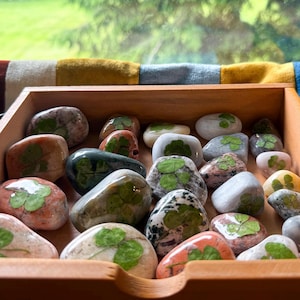 Peut inclure: Une collection de pierres polies et lisses dans un plateau en bois, chacune présentant un trèfle à quatre feuilles vert pressé incrusté en surface. Les pierres varient en couleur, incluant des tons blancs, gris, roses et vert foncé.