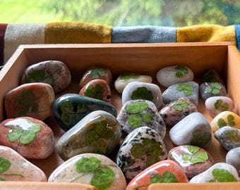 Autêntica Pedra da Sorte de Trevo de Quatro Folhas