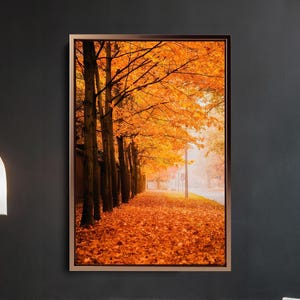 Puede incluir: Una impresión enmarcada representa un camino bordeado de árboles en otoño. Los árboles muestran un follaje naranja y amarillo vibrante, con hojas caídas cubriendo el suelo. La obra de arte se exhibe en una habitación con paredes negras, dos sillones y una mesa pequeña.
