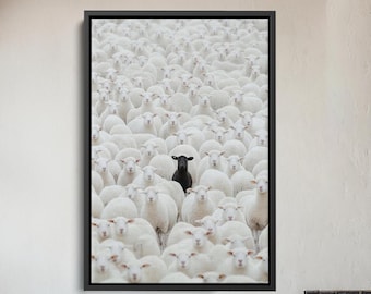 Ovejas negras entre corderos blancos en Duty Free USA: lienzo con contrastes únicos, decoración de pared pastoral, arte mural simbólico