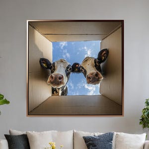 May include: A framed art print featuring two cows peering out of a cardboard box against a blue sky. The cows have black and white markings. The artwork is displayed above a cream-colored sofa in a living room setting.