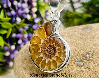 Natürliche Ammonit Fossil Anhänger Spiral Muschel Halskette Prehistorische Boho Statement Schmuck