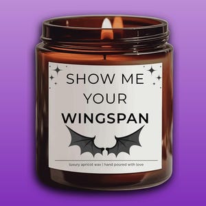 ACOTAR Candle, A Court of Thorns and Roses, Show Me Your Wingspan, Rhysand Cassian Azriel, Book Lover Gift, Bookworm Present, Fantasy Romanc