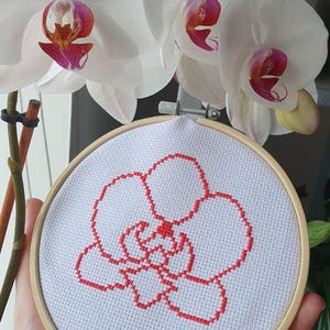 Puede incluir: Un bordado de punto de cruz de una flor de orquídea roja en un aro de madera. El bordado se sostiene frente a una planta de orquídea blanca con pétalos blancos y centros rosas y rojos. Se ven otras plantas en el fondo.