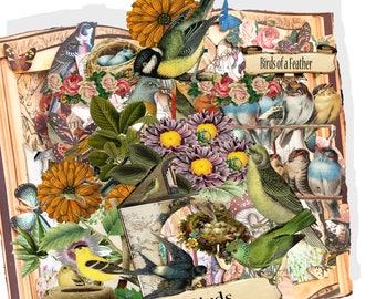 printable spring birds altered book card DIY with directions printable vintage Pop-up book kit download Card Altered art pages collage kit