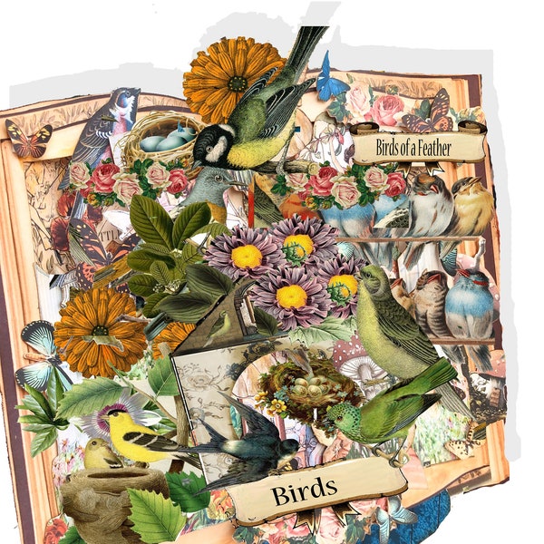 printable spring birds altered book card DIY with directions printable vintage Pop-up book kit download Card Altered art pages collage kit