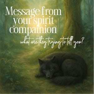 Spirit Companion Message: Channeled Reading for Guidance & Connection