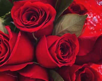 霊的な伴侶のためのアストラルローズブーケ || 供え物、アストラルフラワー、バラ