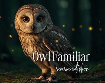 Owl Familiar Reverse Adoption | Spirit Owl Chooses You | Wisdom Companion Match