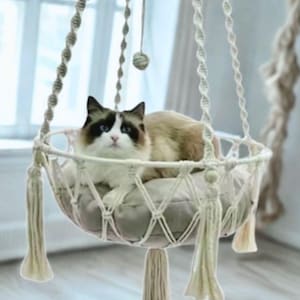 Op de afbeelding: Een crèmekleurige macramé kattenhangmat met een beige kussen, hangend aan een touw. Een pluizige kat met blauwe ogen en bruine aftekeningen ligt erin. De hangmat heeft decoratieve kwasten.