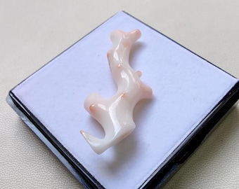Ramo di corallo giapponese naturale, pietra preziosa lucidata (42 x 14 mm)