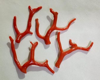 Rami di corallo rosso naturale, pietre preziose italiane lucidate per la creazione di gioielli