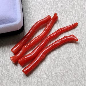 Natural Italian Orange Coral Branch, Undyed Sea Coral, Jewelry Making