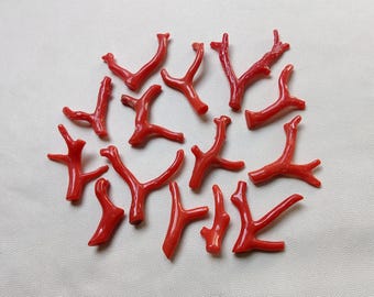 Lot de pierres précieuses de branche de corail rouge italien, accessoires de fabrication de bijoux polis